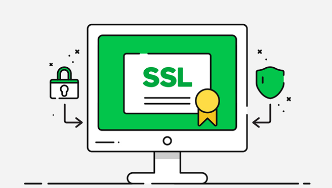 SSL Sertifikası Nedir?